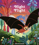 Night Flight